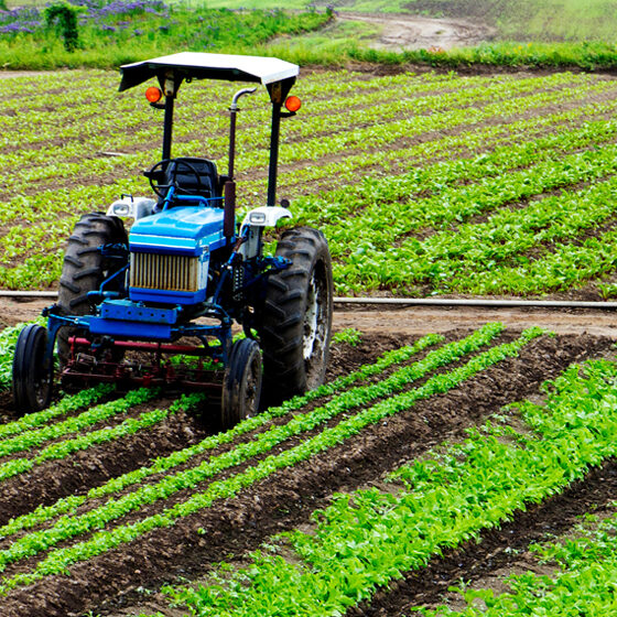 Agriculture-Inputs Agriculture-Inputs