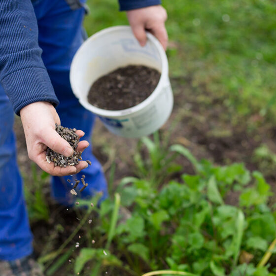Bio NPK Fertilizer Bio NPK Fertilizer